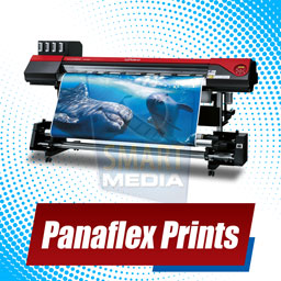 Panaflex Prints